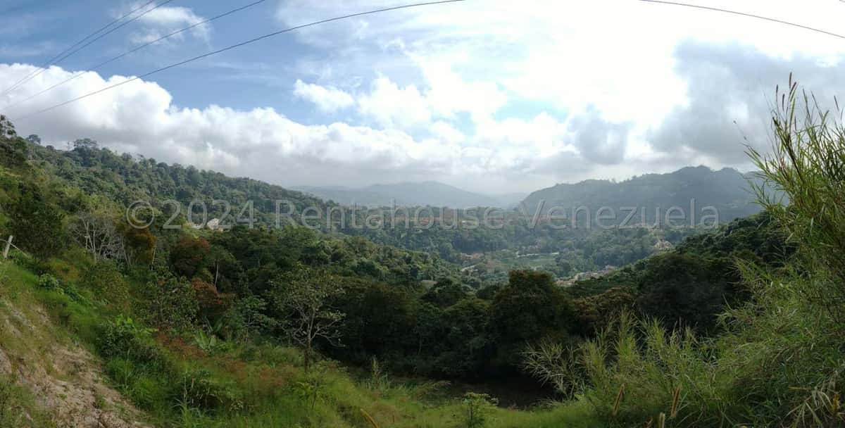 Vista 2