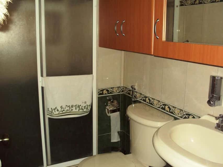 Vista 29