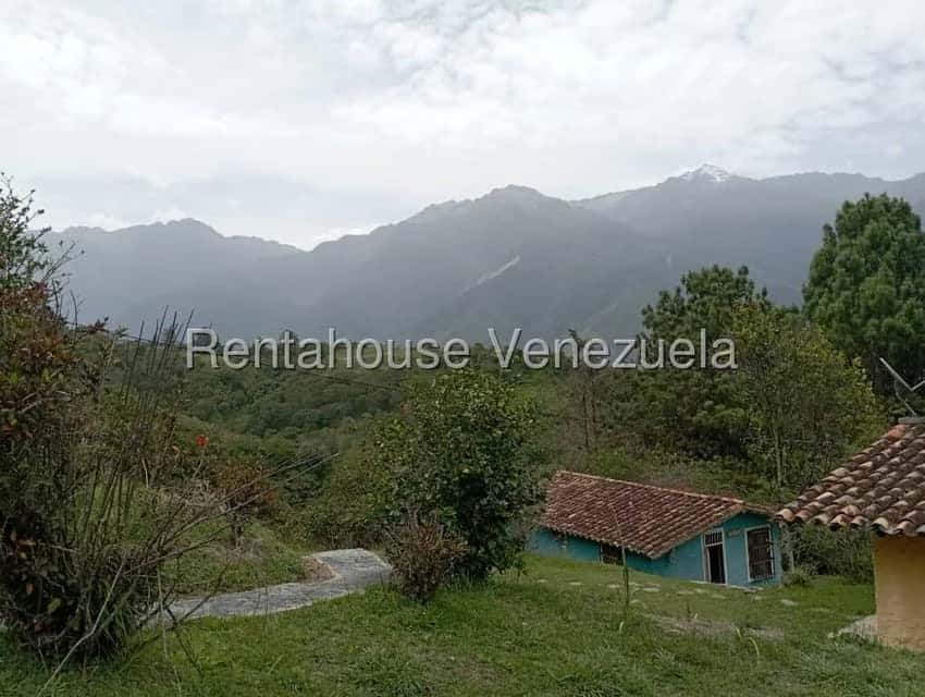 View 23