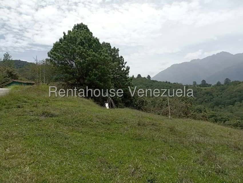 View 38