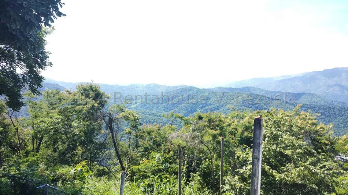 View 27
