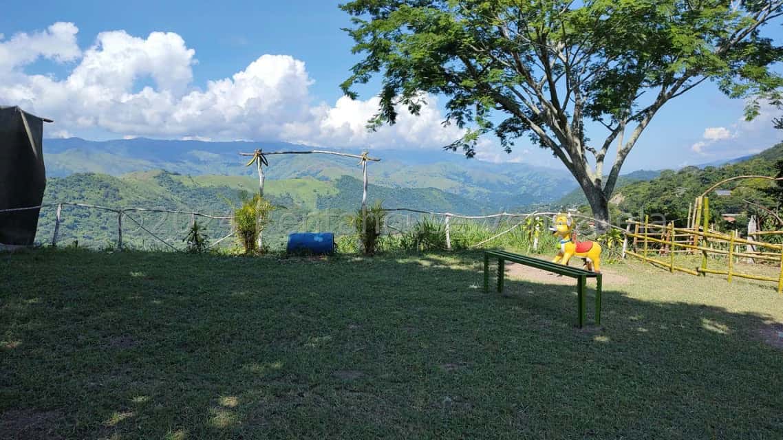 View 41