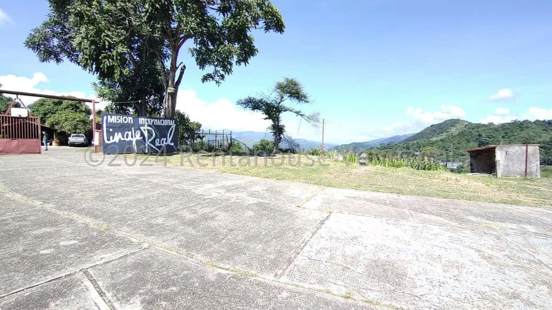 View 53