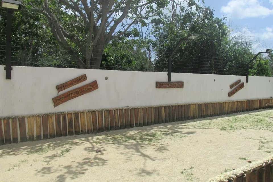View 38