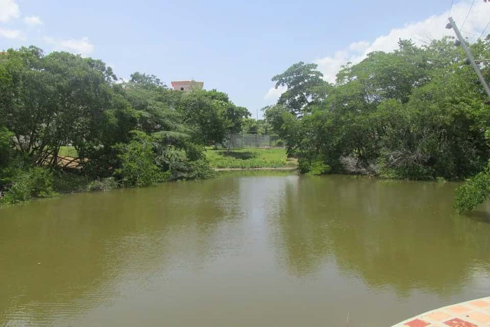 View 40
