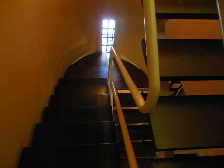 View 25