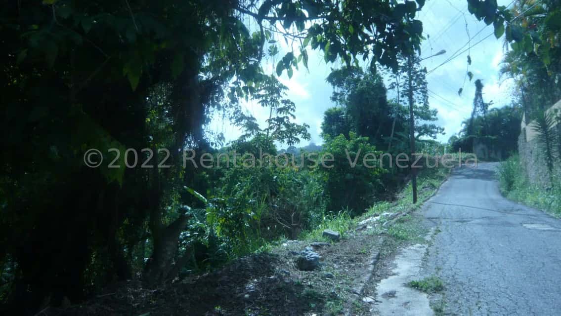 View 16