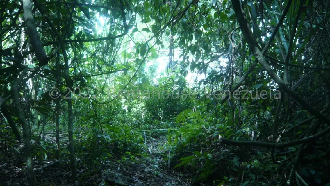 View 21