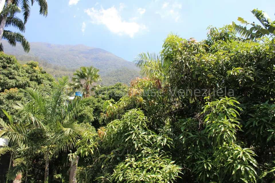 View 10