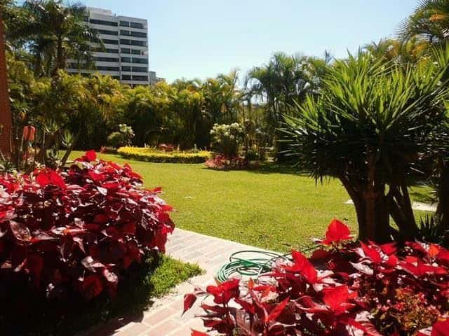 View 12