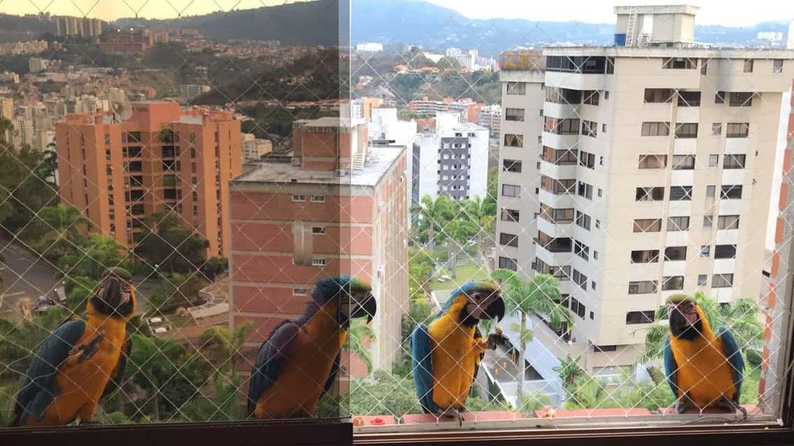 View 21