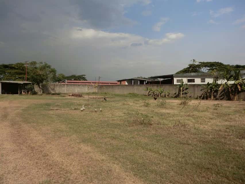 View 12