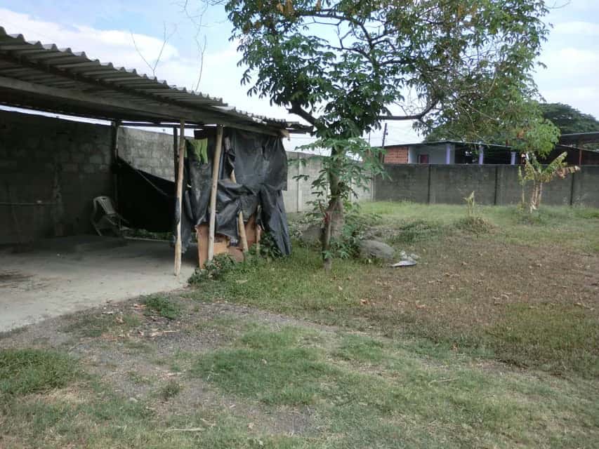 View 13