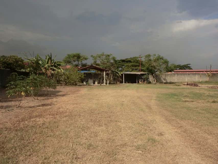 View 15