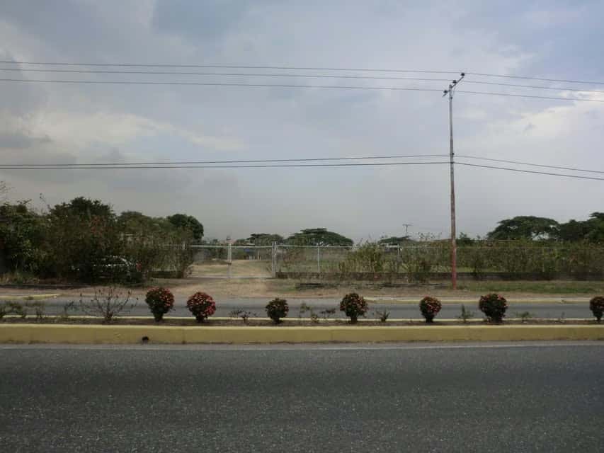 View 6
