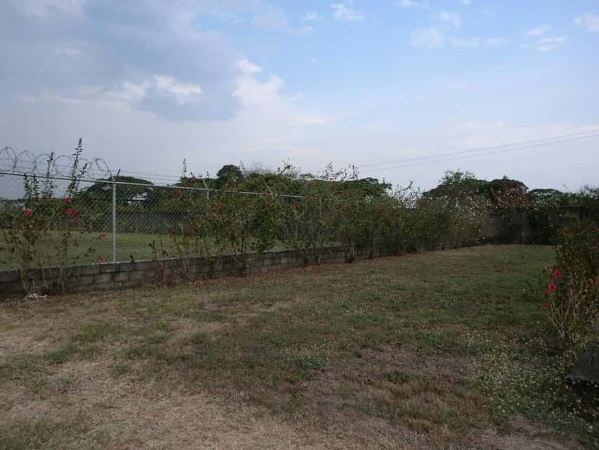 View 8