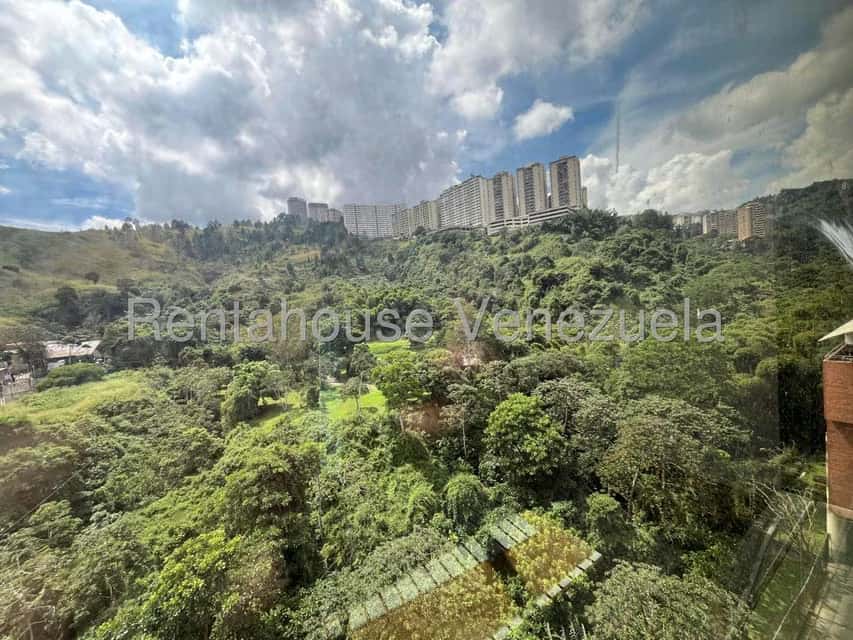 View 8