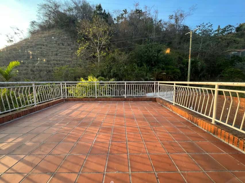 View 41
