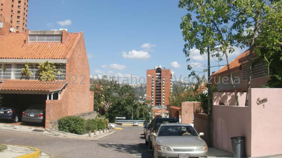 Vista 31