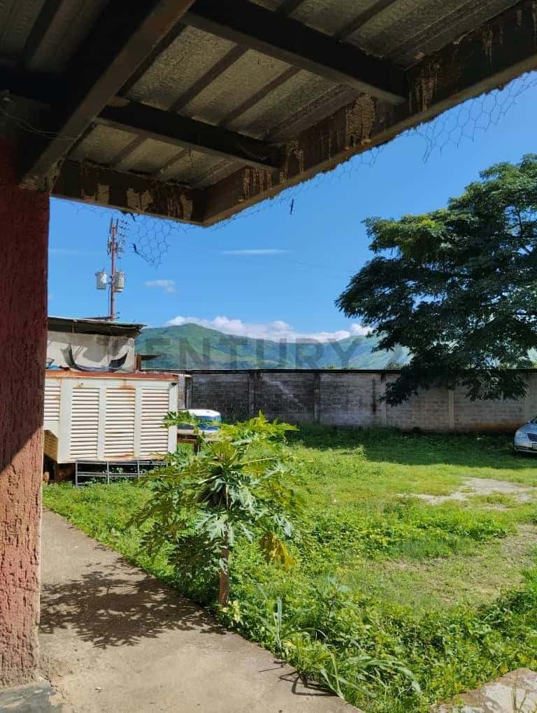 View 6