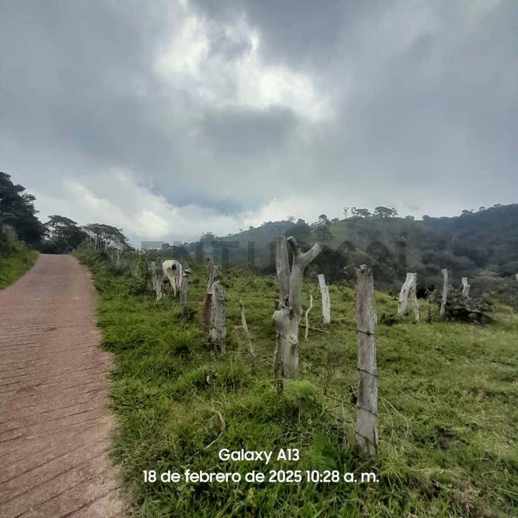 Vista 2