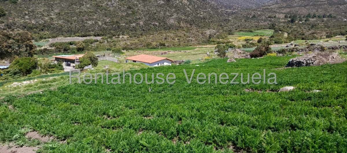 Vista 23