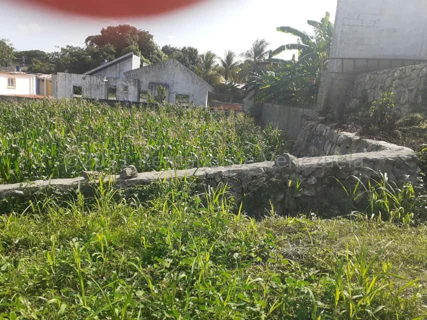 View 1