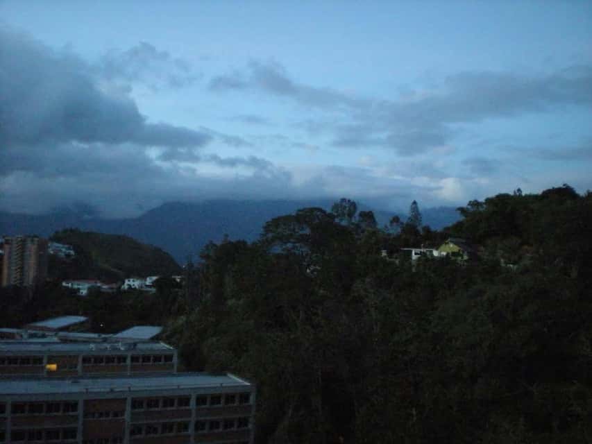 View 19
