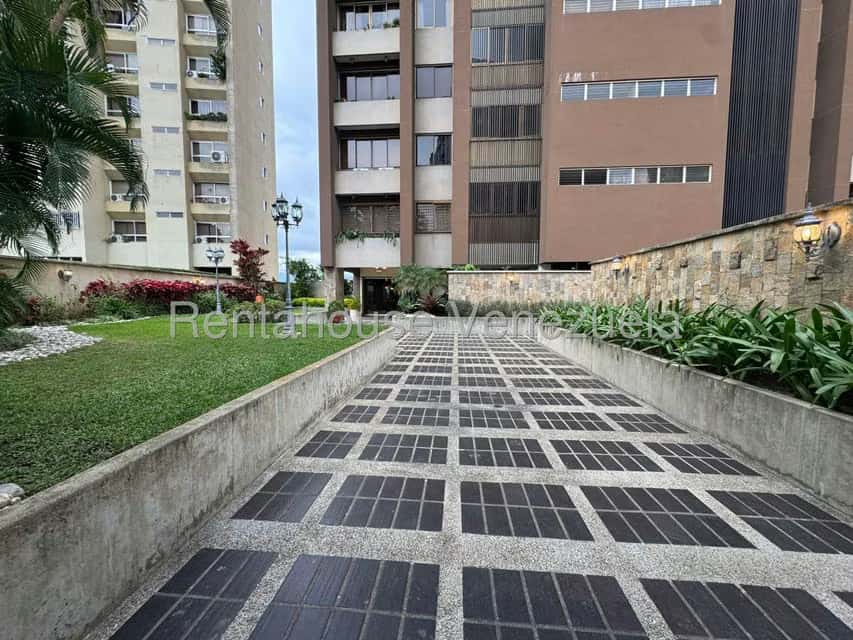 Vista 31
