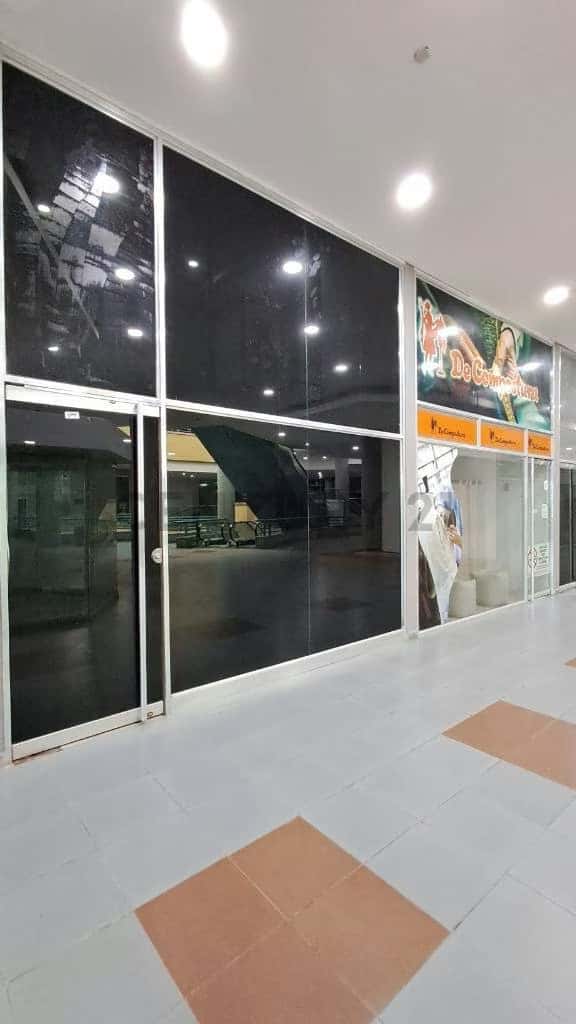 Vista 2
