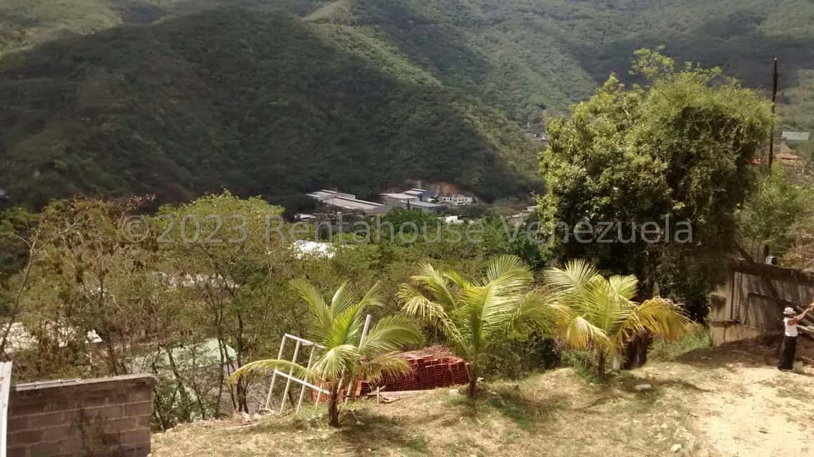 View 11