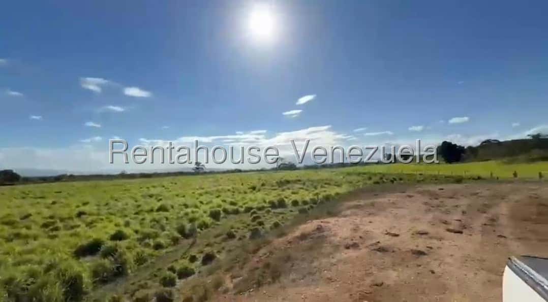 Vista 11