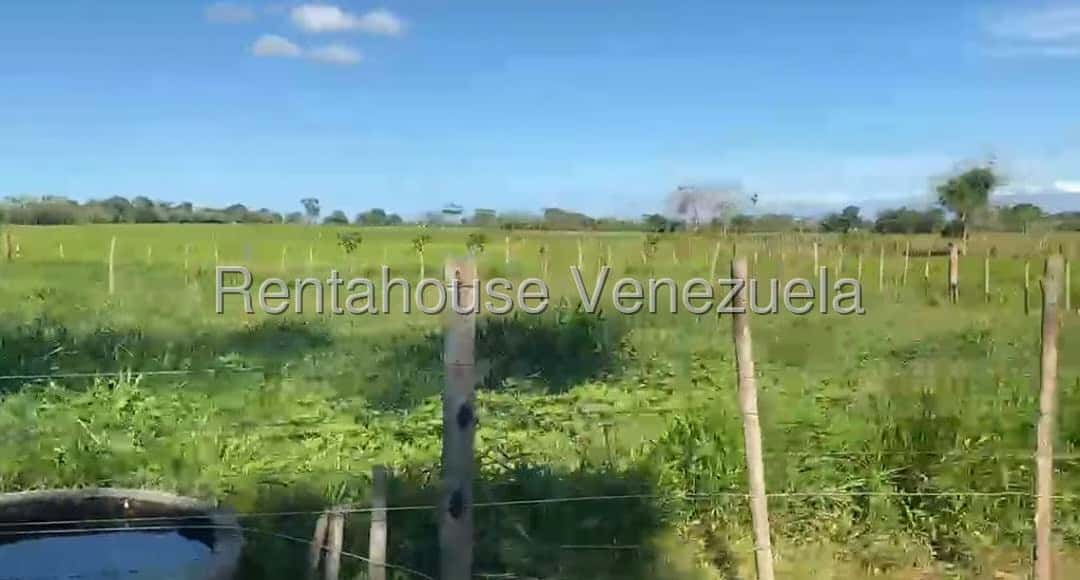 Vista 15