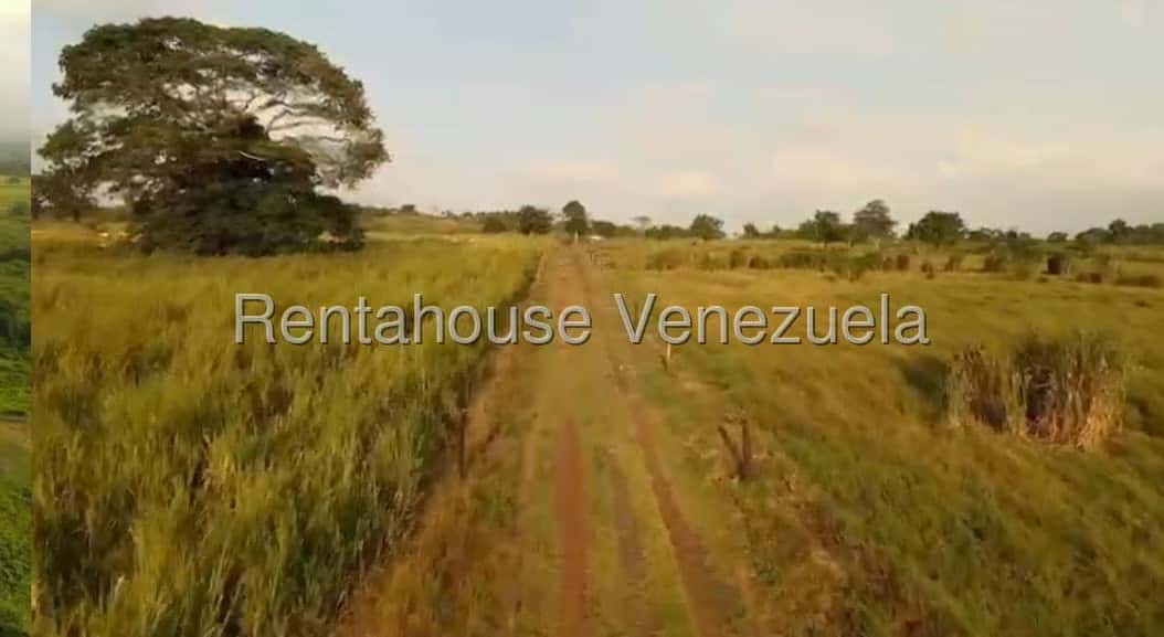 Vista 16