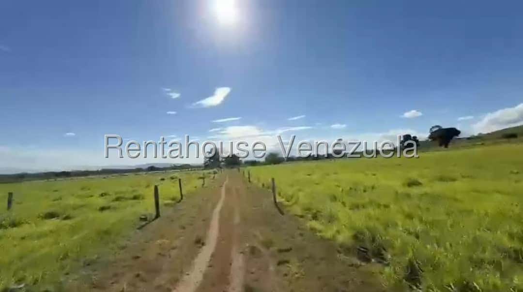 Vista 7