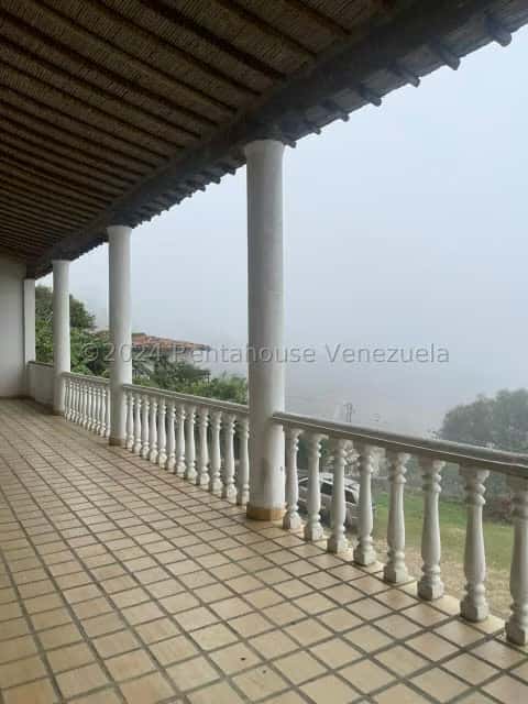 Vista 13