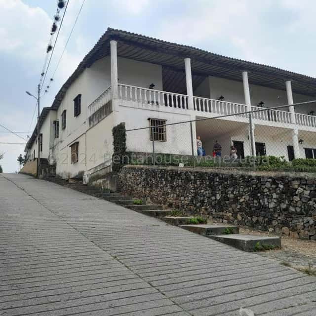 Vista 3
