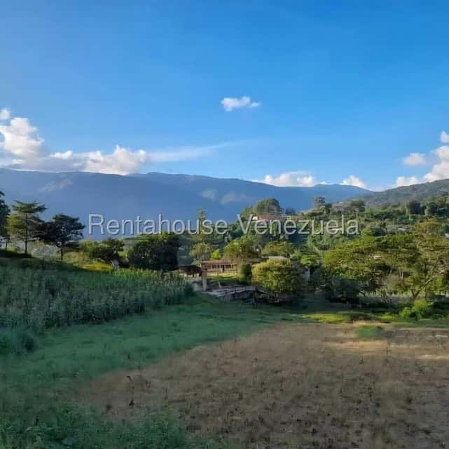 View 1