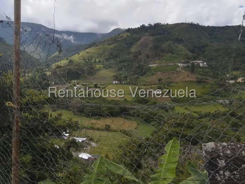 View 11