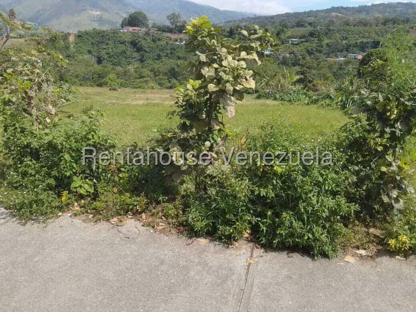 View 14