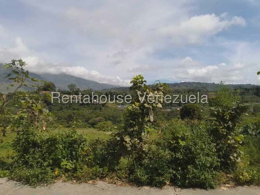 View 15