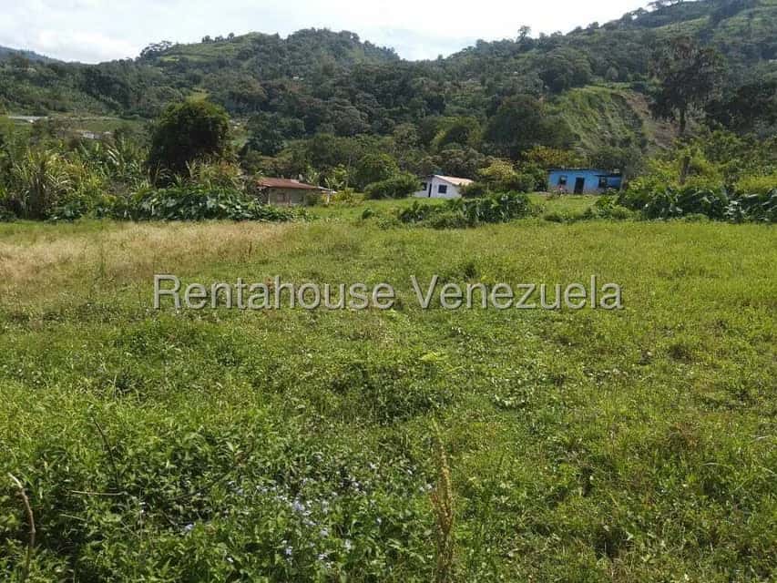 View 5