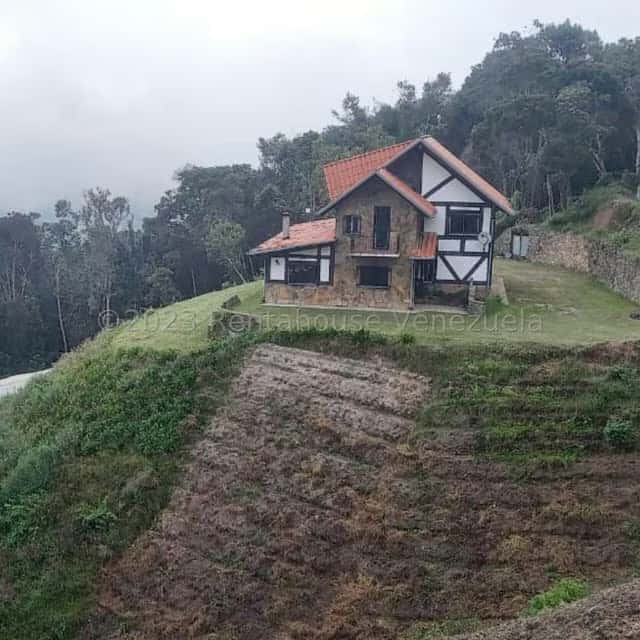 Vista 2