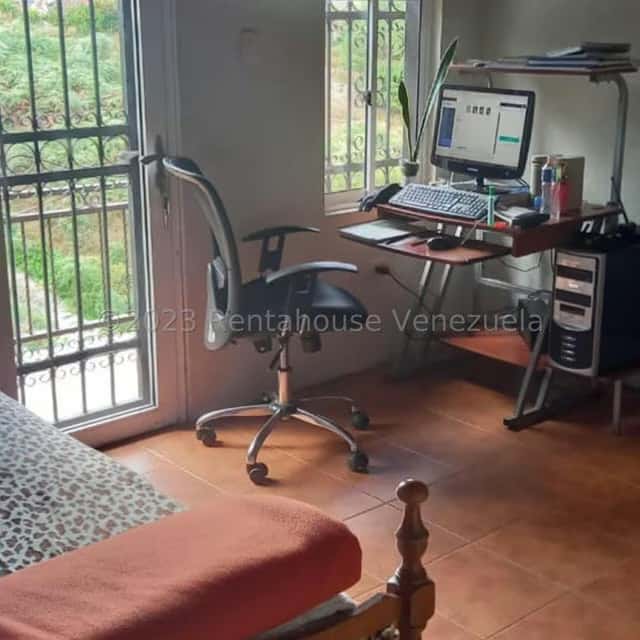 Vista 24