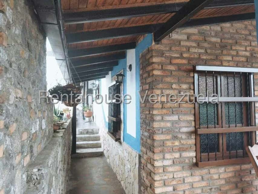 Vista 24