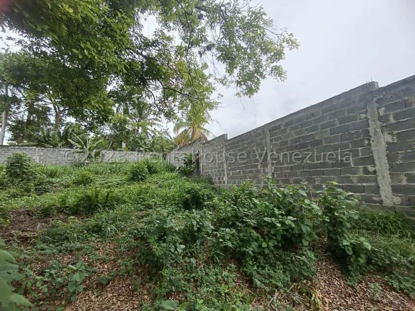 View 14