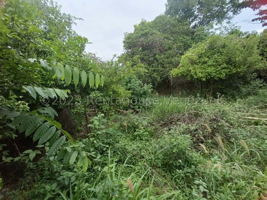 View 19