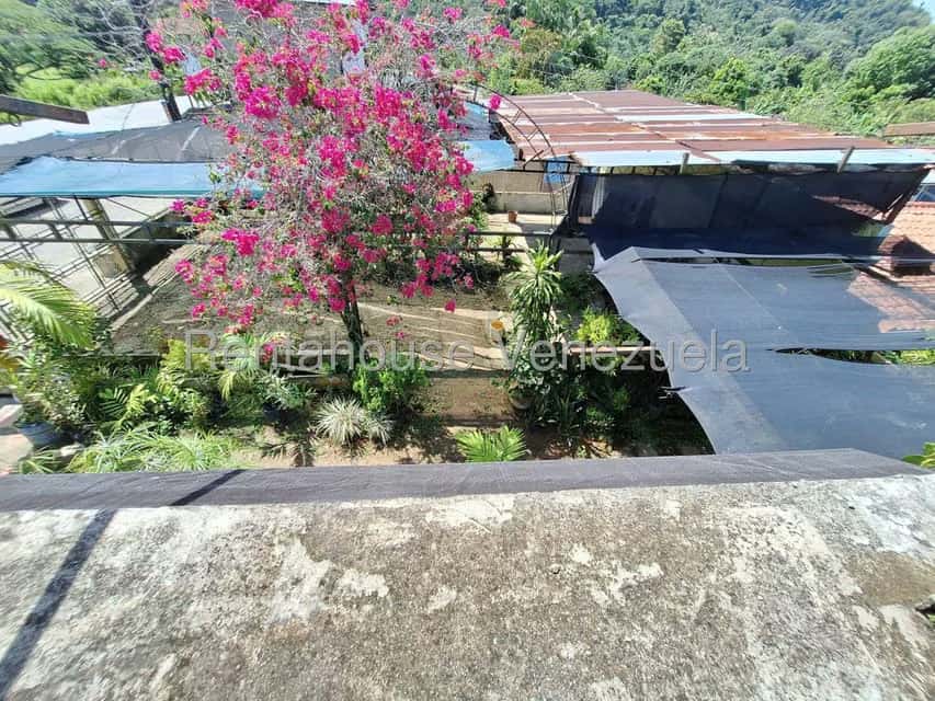 View 15