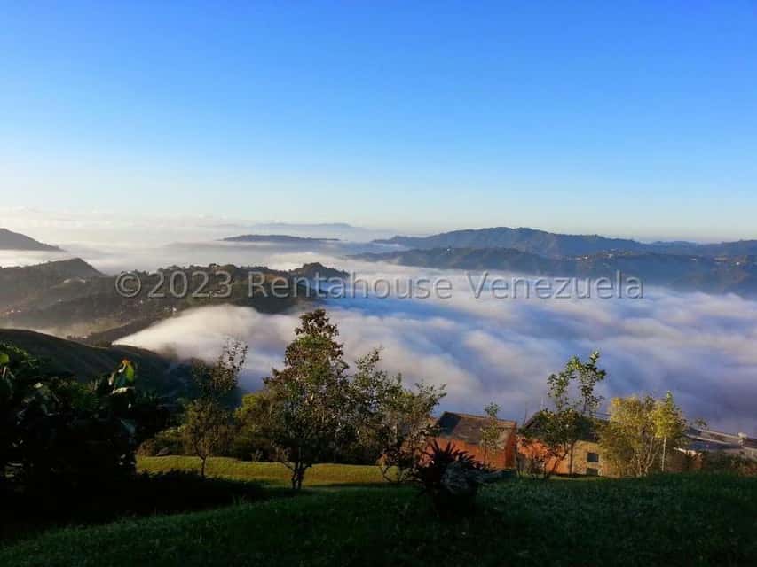 Vista 1