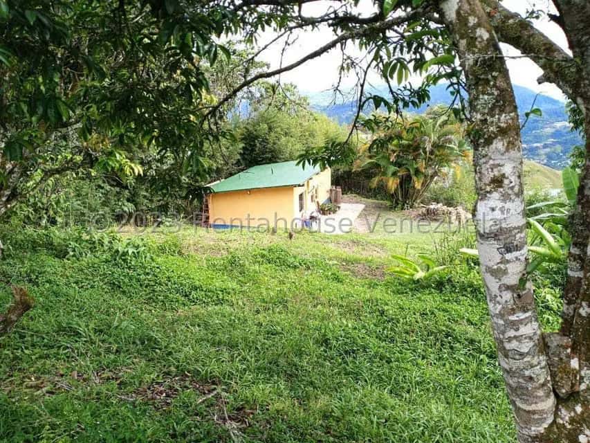 Vista 3